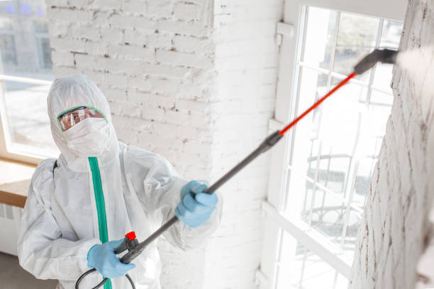 Forensic Mold Investigation in Niagara Falls, NY