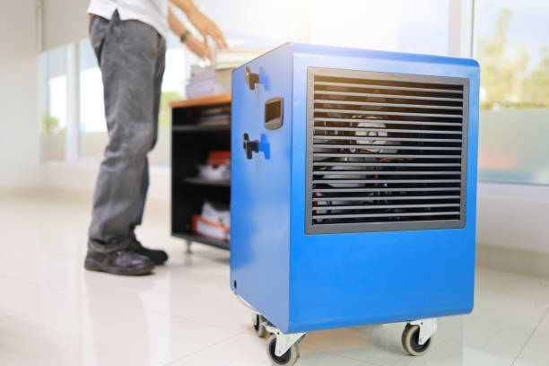Best Attic Mold Removal  in Niagara Falls, NY
