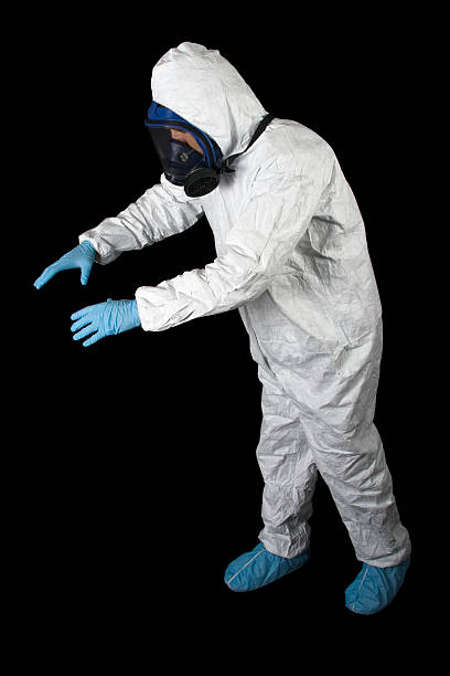 Niagara Falls, NY Mold Removal Company